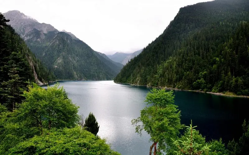 科技绿色无人化